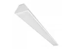   в Москве 