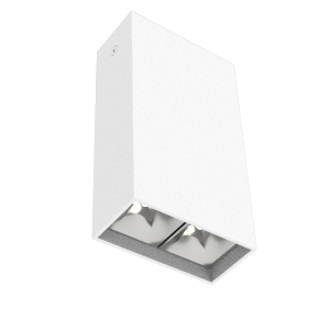 V1-R0-00251-20D55-2000830  в Москве 