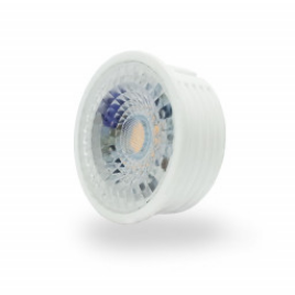   в Москве 