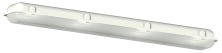 IICEBERG-80  