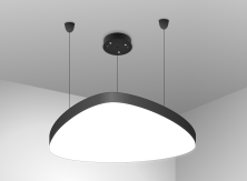 DL-FULL ROTOR 300-100  