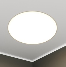 RVE00003066  