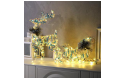 9609086  в Москве 