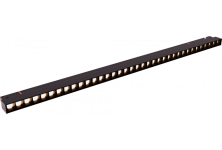 D2448  