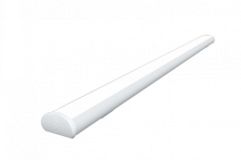 FL 81 40W  