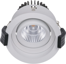 RAMO 18 WH D45 3000К (with driver)  