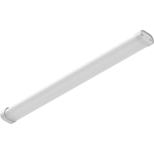 1898004210  