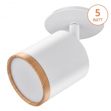 SPOT06-DLL5W-1  