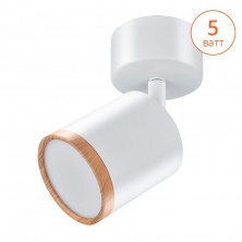 SPOT06-CLL5W-1  