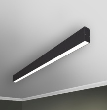 RVE00011783  