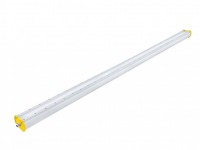 DP2Ex117-D-O-5K-T  