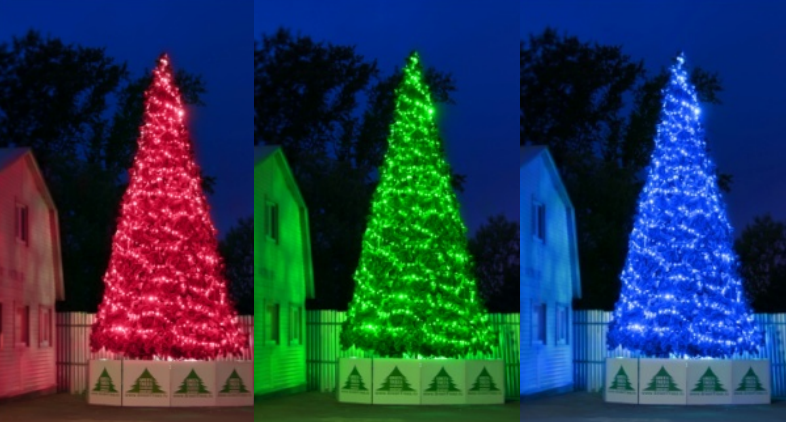 Хамелеон RGB  в Москве 