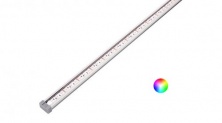 MN RGB 29  