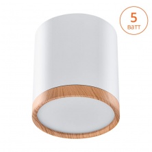 SPOT07-CLL5W-1  