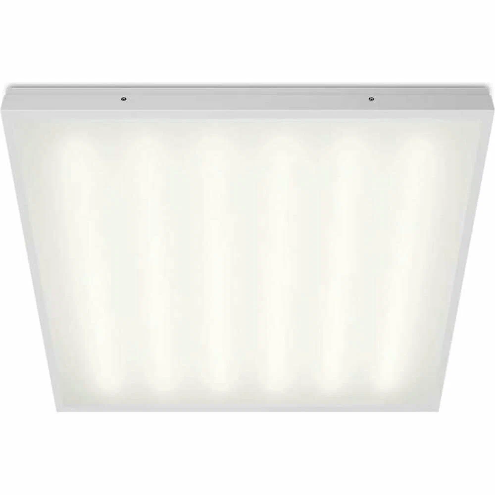   в Москве 