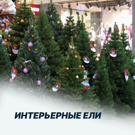 Интерьерные Ели