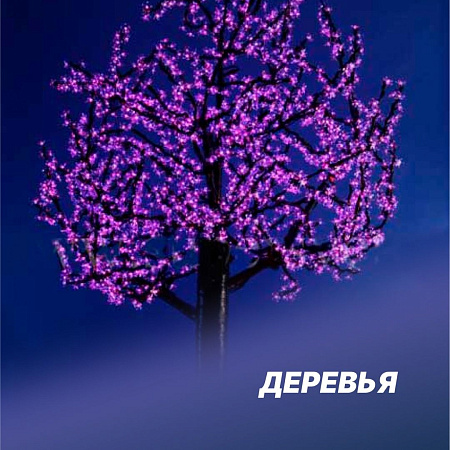 Деревья