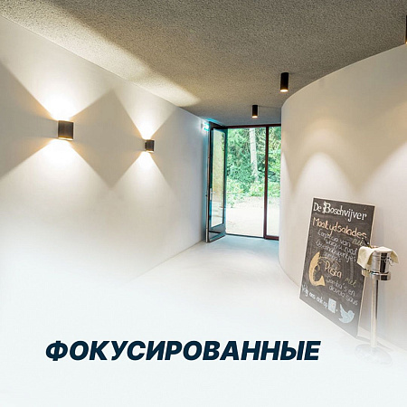 Фокусированные Накладные