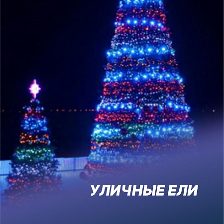 Уличные Ели
