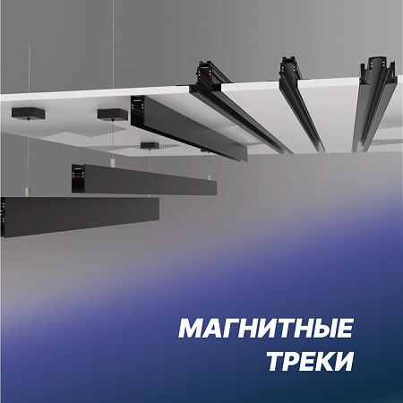Магнитные треки