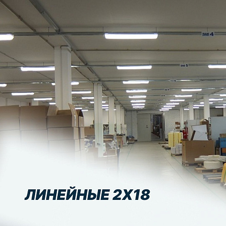 Линейные 2х18